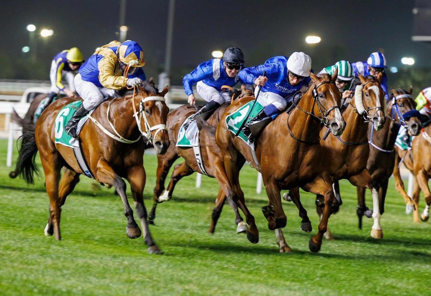 Dubai Horse Race 2024 Results - Benny Arlinda